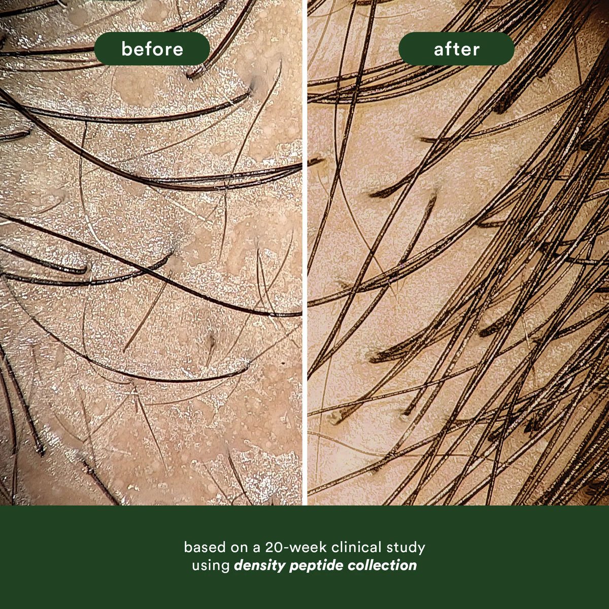 Density Peptide Shampoo